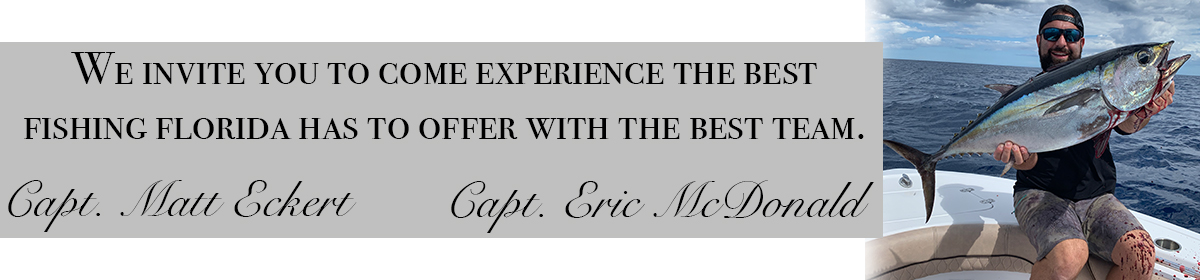 OFFSHORE | NEARSHORE | INSHORE & FRESHWATER FISHING CHARTERS - DEEP